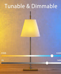 Lamp with tunable and dimmable light from Candelabra E12 Smart Bulbs 5W 400lm LED RGB Color Changing, Dimmable Tunable White