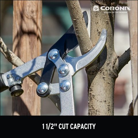 Extendable Handles Compound Action Bypass Lopper For Thick Branches Up To One And A Half Inches cutting tree branch
