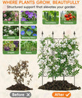 Before and after comparison with the Heavy Duty Metal Garden Trellis For Outdoor Climbing Plants 60 Inch Tall 33 Inch Wide Built To Last Plant Support Privacy Screen Wall Mount For Roses Clematis And Other Vines in use.
