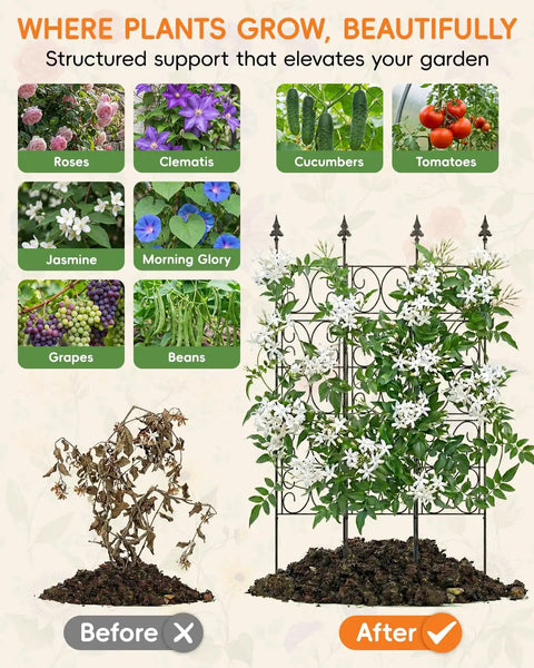 Before and after comparison with the Heavy Duty Metal Garden Trellis For Outdoor Climbing Plants 60 Inch Tall 33 Inch Wide Built To Last Plant Support Privacy Screen Wall Mount For Roses Clematis And Other Vines in use.