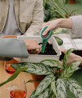 Compact Handy Seed Spreader Handheld Planter Tool distributing seeds in soil near plants