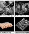 Eco Friendly Plastic Egg Cartons 12 Egg Capacity 3x4 Grids Bulk With Transparent Lid Recycled Plastic Durable Egg Holders