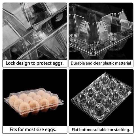 Eco Friendly Plastic Egg Cartons 12 Egg Capacity 3x4 Grids Bulk With Transparent Lid Recycled Plastic Durable Egg Holders