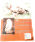 Back cover of the Birds Of Prey Starter Guide For Beginners Real Talk On Training Techniques Daily Care Health Housing And Hunting Return Tips book