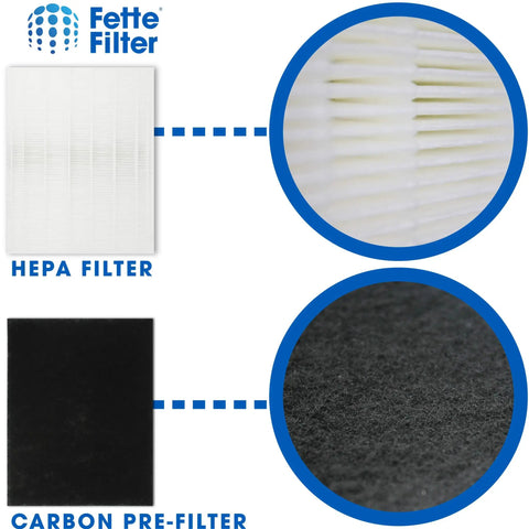 Two Pack Premium HEPA H13 Filter Plus Eight Carbon Replacement Filters For Winix 115115 Size 21 Plasma Wave AM90 P300 5300 5500 6300-2 6300 C535 Compatible Air Purifier showing HEPA and carbon pre-filters close-up