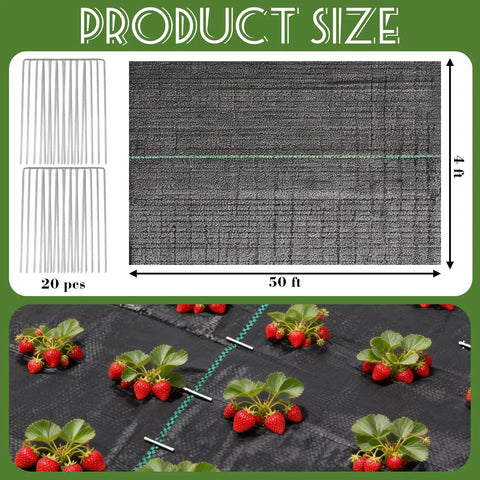 4 By 50 Ft Weed Barrier Landscape Fabric With 20 U Shaped Stakes Heavy Duty 3.2 Oz Ground Cover with strawberries on top