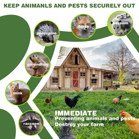 Farmhouse with chickens, highlighted animals like raccoon, and text promoting pest security using Galvanized Hardware Cloth 1/4 Inch Mesh 16 Inch By 20 Foot Wire Roll Heavy Duty Chicken Coop Fence Rabbit And Snake Barrier Poultry Enclosures Pen Mesh For Crafting And Screen Projects