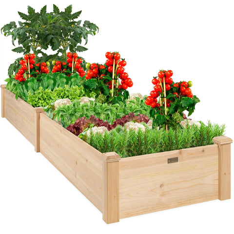 8x2ft Outdoor Wooden Raised Garden Bed Planter for Vegetables and Grass Backyard Lawn Natural Finish Durable Fir Wood