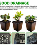 60 Pcs Square Nursery Pots 3 Inch Deep Plastic Seed Starter Germination Pots For Plants Succulents And Flowers Stackable Durable Seedling Kit Garden Growth Support For Sprouting Seedlings showing good drainage design.