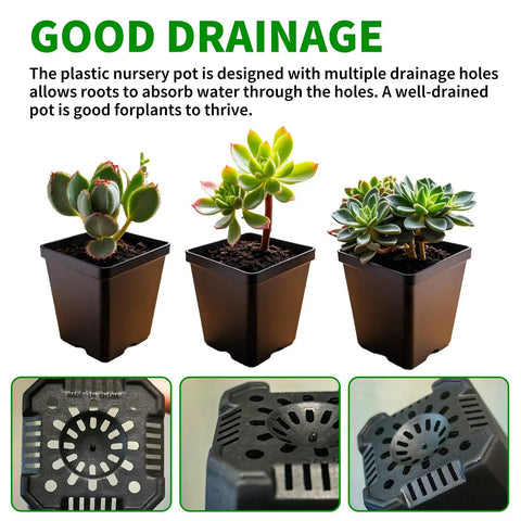 60 Pcs Square Nursery Pots 3 Inch Deep Plastic Seed Starter Germination Pots For Plants Succulents And Flowers Stackable Durable Seedling Kit Garden Growth Support For Sprouting Seedlings showing good drainage design.