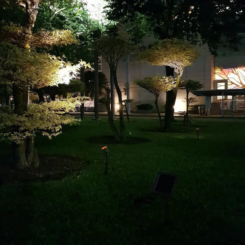 Garden at night with Twin Solar Spotlight Set With Warm White 3000K LED Waterproof Outdoor Garden Yard Pathway Lights illuminating trees.