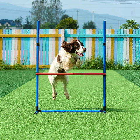 Dog jumping over hurdle in Backyard Dog Agility Training Kit With Adjustable High Hurdles, Six Weave Poles, 78 Inch Tunnel, Jump Ring