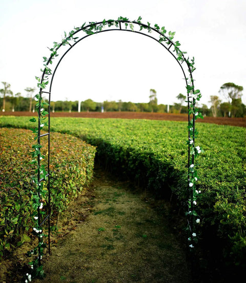 Steel Garden Arch For Climbing Plants Backyard Vibes Outdoor Decor 7 Feet 8 Inches High And 4 Feet 5 Inches Wide Weather Resistant