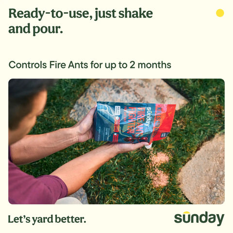 Person holding Fast Fire Ant And Harvester Ant Killer Granules, Bio Based Ant Bait 2 Pack for outdoor yard control in hand.