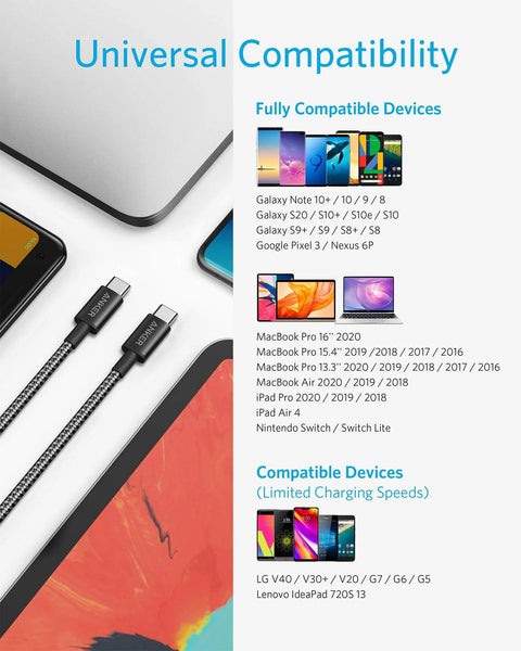 Two black braided USB-C to USB-C charging cables, 10 ft, 100W fast charge