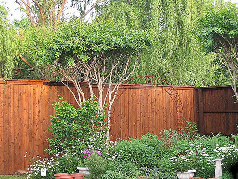 Stain And Seal In One For Wood Decks And Fences, Primerless Exterior Sealant With UV Protection, Natural Cedar fence in garden