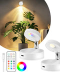 2 Pack Rechargeable LED Spotlight Kit for indoor use with wireless RGB color lighting and remote, highlighting plants and decor.