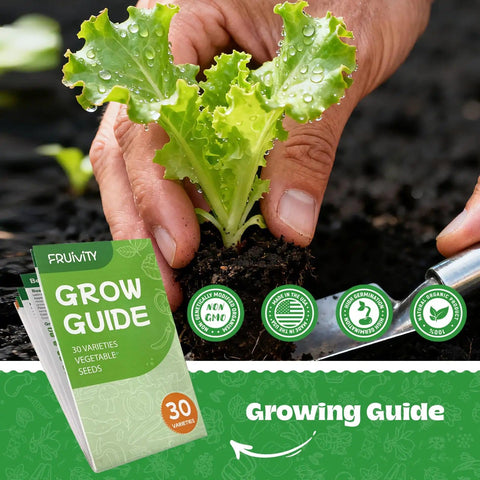 Hands planting a seedling with Grow Guide for Over 18,000 Heirloom Seeds in a 30 Varieties Veggie Garden Pack visible.