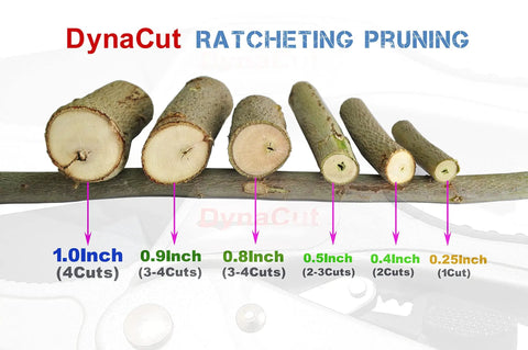 Ratcheting Pruning Shears 8 Inch Heavy Duty Garden Pruner With Anvil Cutter for different branch thicknesses