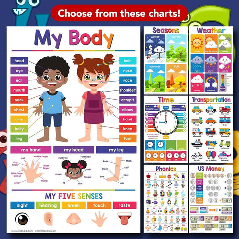 Educational posters featuring diagrams for 'My Body', seasons, weather, time, transportation, phonics, and US money charts.