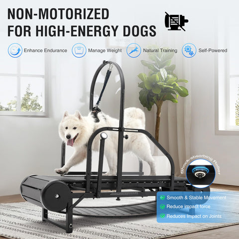 Dog Treadmill For Large And Medium Dogs With Adjustable Ramp Slatmill For Exercise Pedometer Tracking Indoor Home Use Up To 300 Pounds For A Healthy Active Pet Life