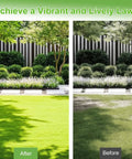 Image of a lawn before and after using Heavy Duty Lawn Leveling Rake With Adjustable Long Handle Dual Sided Tines With Serrated Side For Soil Gravel Sand Dirt Gardens Yard Landscaping Ergonomic Durable 30x10 Inch Ideal For Pathways And Lawn Repair Projects, showing vibrant green grass on the left and patchy grass on the right.
