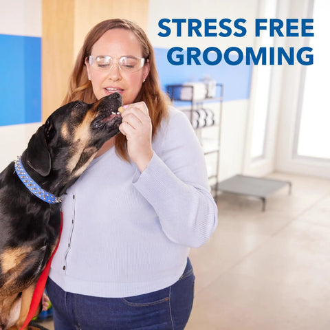Woman using Pet Nail Grinder And Trimmer Kit Cordless And Rechargeable For Dogs Cats And Small Animals in stress-free grooming session.