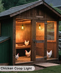 Solar Pendant Lights For Outdoors And Indoors With Pull Cord And Remote No Wiring Required Easy Setup in chicken coop