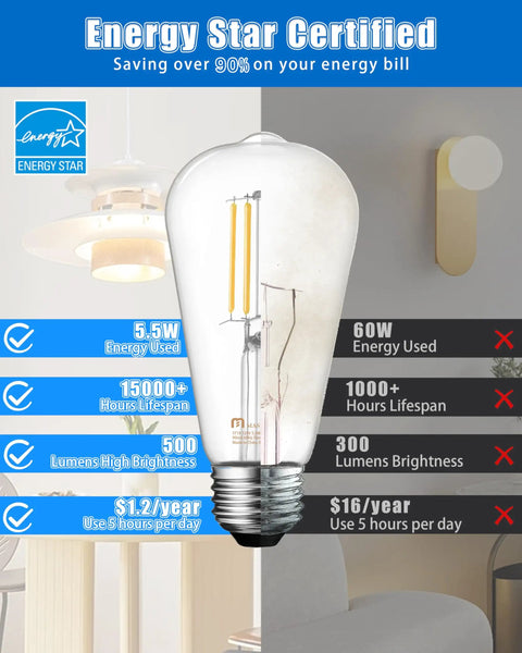 Energy Star certified 10 Pack Vintage Edison LED Bulbs E26 Dimmable 5.5W 60W Equiv Daylight White 5000K ST19 Clear Glass High Brightness