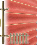 Dazzling Antique Brass Stair Rod Kit With Brackets Screws And End Caps For Runner Carpet Secure Your Steps While Adding Classy Vibes To Any Home With This Durable 34 Inch Holder Set That Boasts A Smooth Finish And Timeless Style. brass stair rod kit with brackets and screws, 34 inch, securing red runner carpet on stairs