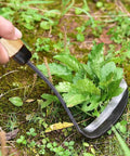 Kana Hoe 217 Japanese Garden Tool Hand Hoe Sickle used for weeding in a garden, featuring solid wood handle and stainless steel blade.
