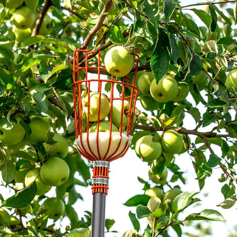 Adjustable 8Ft Fruit Picker Tool With Lightweight Stainless Steel Pole And Large Round Basket, Fruit Catcher For Apples, Oranges, Mangoes, Pears, Avocados, Easy Soft Landing Pad To Prevent Bruises