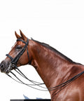 Double Bridle With Reins In Black For Warmbloods, show ring ready, traditional style with raised padded cavesson noseband
