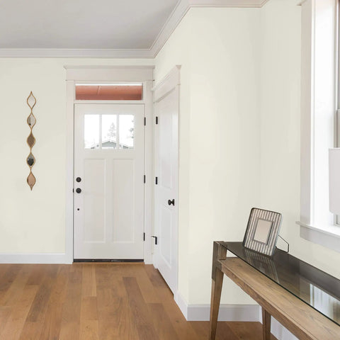 Entryway walls painted with Signature Interior Exterior Eco Friendly Paint Snow White Low Sheen 1 Gallon for Indoor and Outdoor Projects