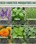 Garden Aromatic Herb Seed Kit For Mosquito Season With Six Seed Packets For Patio And Deck Includes Lavender Lemongrass Marigold Catnip Lemon Balm Basil And Six Coir Soil Discs shown with six seed varieties that repel mosquitoes.