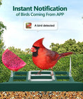 Smart Bird Feeder With Camera 2K Live View Solar Powered Outdoor WiFi Night Vision AI Identify Arrive Alerts Auto Record Videos
