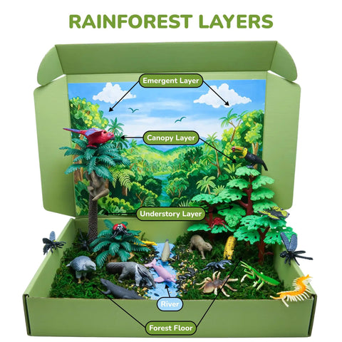 Rainforest Diorama Kit With 33 Pieces PVC Animals And Insects, Miniature Trees, Moss, Sand And Stones, Display Box And Backdrop