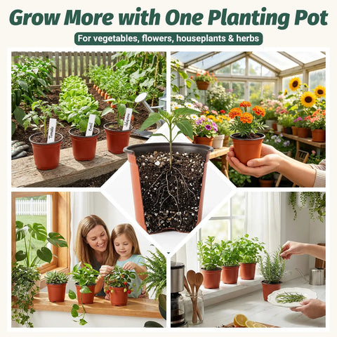 Collage of 4 Inch Nursery Pots 100 Pack Plastic Seedling Pots With Drainage Holes For Easy Seed Starting