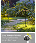 Low Voltage LED Pathway Lights 12V Wired With Adjustable Color Temperatures 2200K 2700K 3000K 4000K 5000K Black 20 Inch Umbrella Style Landscape Lighting Pack Of 6 placed along a garden path.