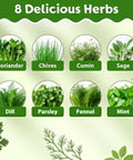 Chart of 8 herbs with images and names: Coriander, Chives, Cumin, Sage, Dill, Parsley, Fennel, Mint