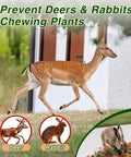 Deer and rabbit near garden, promoting 36 Pack Deer And Rabbit Repellent For Outdoor Gardens And Lawns Keeps Plants Safe From Browsing