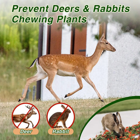 Deer and rabbit near garden, promoting 36 Pack Deer And Rabbit Repellent For Outdoor Gardens And Lawns Keeps Plants Safe From Browsing