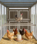 Ultimate Backyard Chicken Coop With Run And Waterproof Cover For 4-6 Chickens Large Poultry Cage interior view with chickens inside.