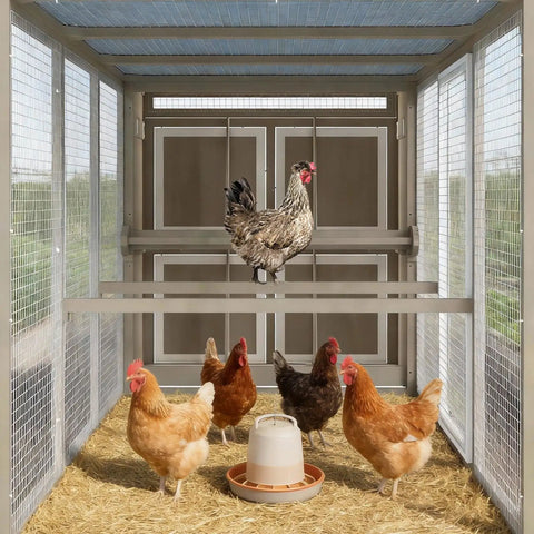 Ultimate Backyard Chicken Coop With Run And Waterproof Cover For 4-6 Chickens Large Poultry Cage interior view with chickens inside.