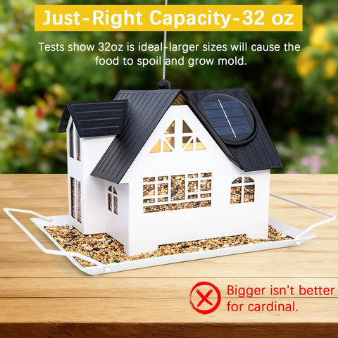 Heavy Duty Metal Outdoor Bird Feeder With Solar Lights, built tough hanging feeder, 32oz seed capacity, house design