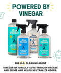 Aunt Fannie's cleaning spray bottles set (5) with clear plastic bottles and blue labels, powered by vinegar.