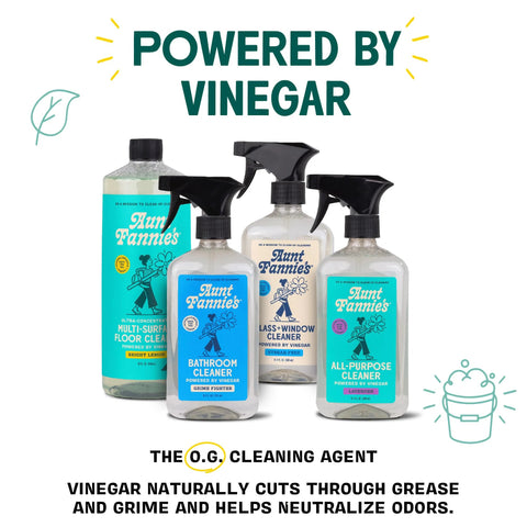Aunt Fannie's cleaning spray bottles set (5) with clear plastic bottles and blue labels, powered by vinegar.