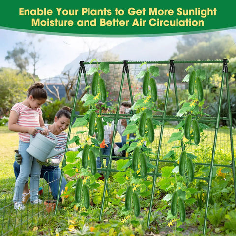 Heavy Duty 51 By 53 Inch A Frame Garden Trellis For Raised Beds With Rust Proof Metal Frame Netting In Use With Cucumbers