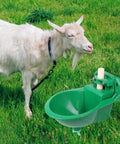 Heavy Duty Automatic Livestock Water Bowl For Farm Animals Featuring Self Filling Goat Sheep Cow Dog Drinker Cup, green bowl with goat.
