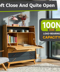 Drop-Down Gas Struts With No-Slam Soft Close Hinges for secretary desk cabinet, 100N load capacity, silver hydraulic lid stay support.
